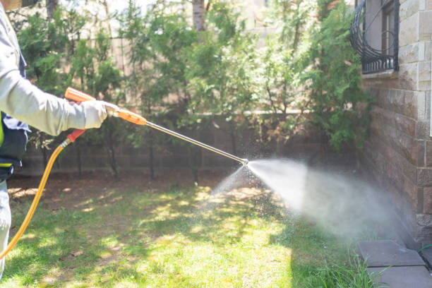 Best Bee and Wasp Removal  in Archdale, NC